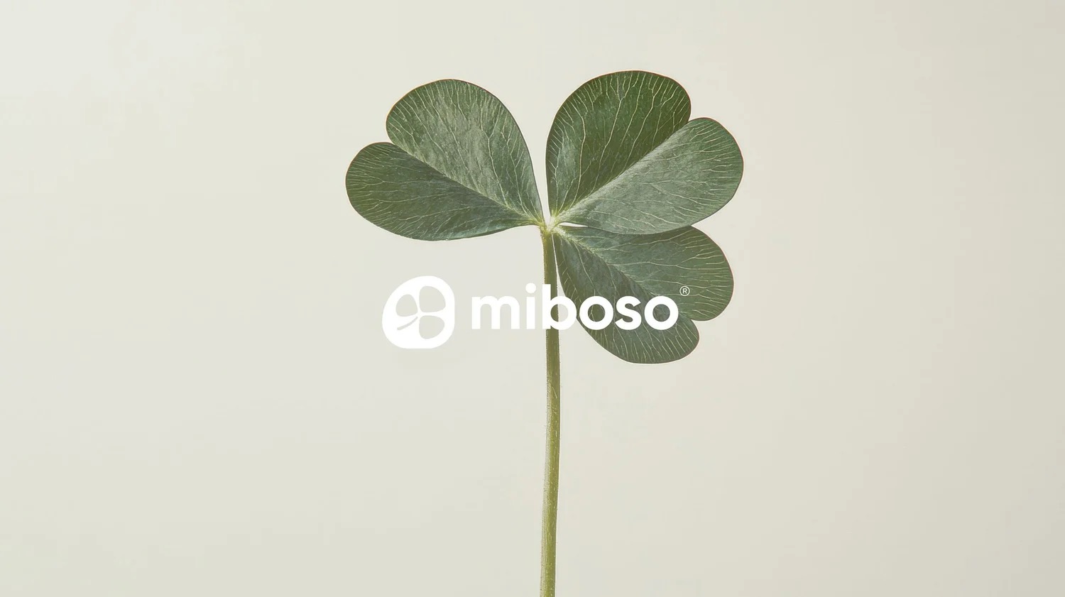 Miboso Wellbeing brand identity